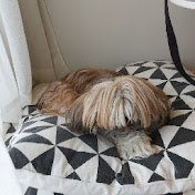 Profile Picture of Lucas Oliva (@lucasoliva3674) on Youtube