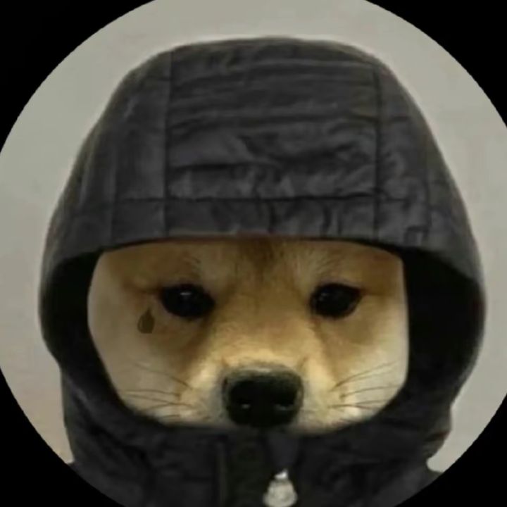 Profile Picture of Daniel Vinet (@@danielvinet78) on Tiktok