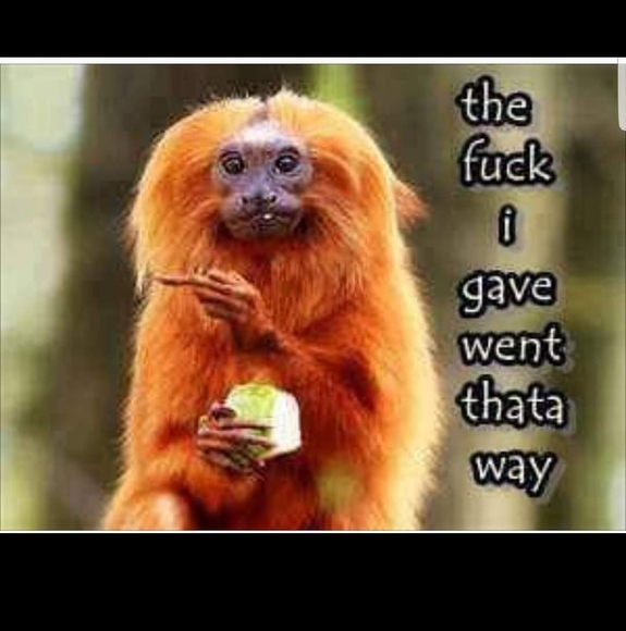 Profile Picture of Shannond Kontaxis (@sdk78161) on Poshmark