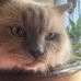 Profile Picture of David Stehr (@david.stehr.39) on Facebook