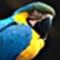 Profile Picture of Carlos Navarro (@carlos-navarro-19) on Quora