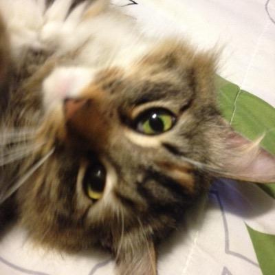 Profile Picture of Dawn Mills Killam (@DawnKillam) on Twitter