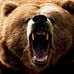 Profile Picture of Pedro Zadovsky (@pedro.zadovsky.1) on Facebook