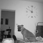 Profile Picture of Jan Brichacek (@Jan-Brichacek) on Facebook