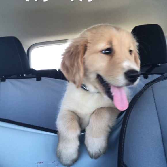 Profile Picture of Morgan Mattheis (@mmattheis) on Poshmark