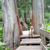 Profile Picture of Beverly Barker (@beverly-barker-8) on Quora