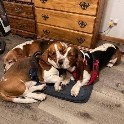 Profile Picture of Steven Bodnar Jr (@steve_bodnar) on Twitter