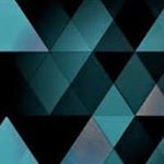 Profile Picture of raderschadt (@raderschadt) on Instagram