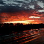 Profile Picture of Steve Creech (@screech985) on Instagram