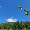 Profile Picture of 청목 (@@cheongmok) on Tiktok
