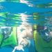 Profile Picture of Coleen Tuttle (@coleentuttle) on Pinterest