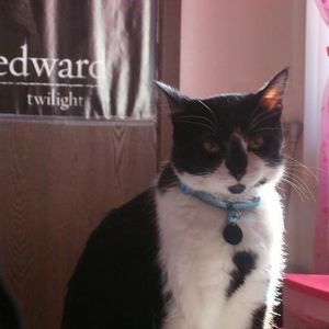 Profile Picture of Jody Mcguire (@bbboy08) on Myspace