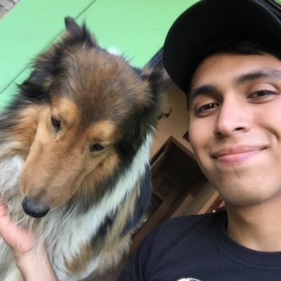 Profile Picture of Gerson Casas (@DavidGersonC) on Twitter
