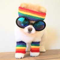 Profile Picture of Christopher Pylant (@christopher-pylant-1) on Quora
