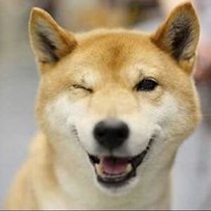 Profile Picture of Devon Larson (@epicfalaffle) on Myspace