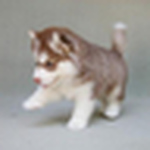 Profile Picture of Jimmy Valderreimours (@Jimmy Valderreimours) on Flickr