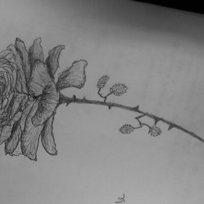 Profile Picture of Cheryl Rhodes Graham (@@cherylrgraham) on Twitter