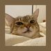 Profile Picture of Jason Liang (@jason.liang.3363) on Facebook
