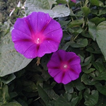 Profile Picture of Dawn Carter (@dawncarter343) on Flickr