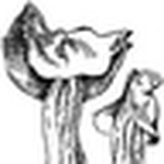 Jordan Mckenzie - Flickr Profile Picture of Jordan Mckenzie (@j mk) on Flickr