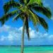 Profile Picture of Roni Ploof (@stonington) on Pinterest