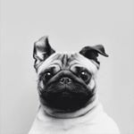 Profile Picture of Евгений Марков (@markoveugene) on Instagram