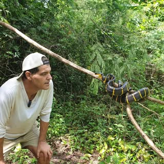 Profile Picture of Frank Cuesta (@cuestafrank) on Instagram