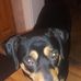 Profile Picture of Ray Dileo (@ray.dileo.75) on Facebook