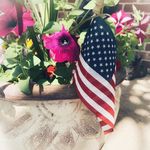 Profile Picture of Kelli Schwartz (@kelli_schwartz_77) on Instagram