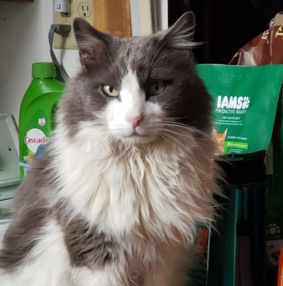 Profile Picture of Jerry Weber (@jerweb9) on Poshmark