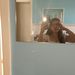 Profile Picture of savannah goodall (@savannahgoodallx) on Pinterest