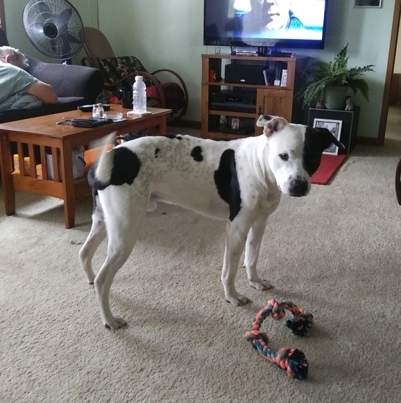 Profile Picture of Elliott Allton (@elliottallton) on Poshmark