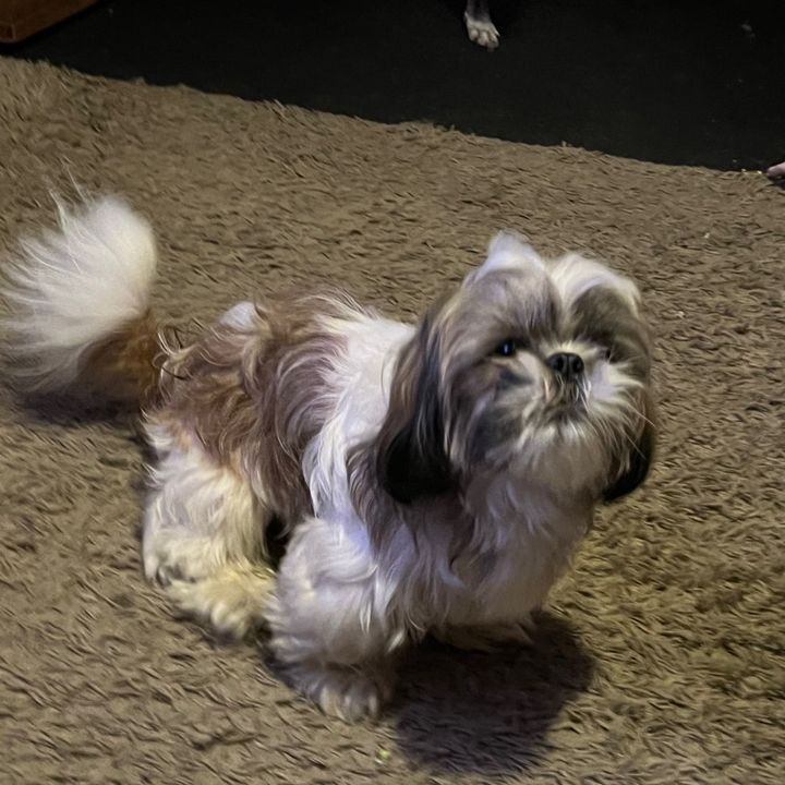 Profile Picture of Mark Broderick Downt (@cambridgedancingdad) on Tiktok