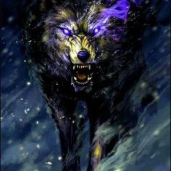 Profile Picture of Christopher Ferguson (@michael2422) on Poshmark