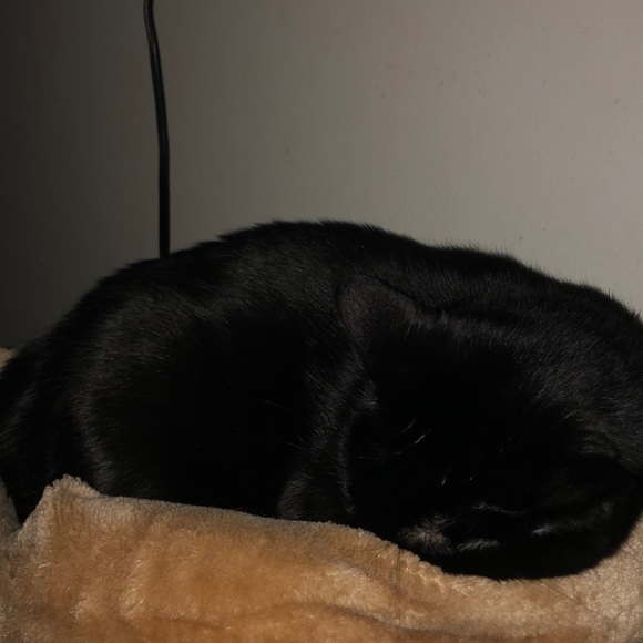 Profile Picture of Jordan Ritchie (@j2spooky) on Poshmark