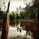 Profile Picture of mike_moesta (@mike_moesta) on Instagram