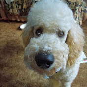 Profile Picture of Phyllis Taylor (@phyllistaylor2217) on Youtube