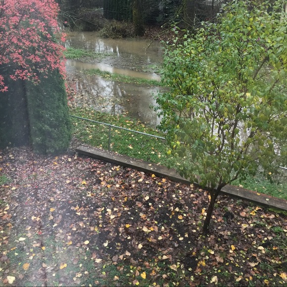 Profile Picture of Ariel Goss (@aegoss) on Poshmark