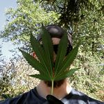 Profile Picture of Joshua McCall (@_auniversalmind) on Instagram