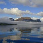 Profile Picture of Albert Neusser (@merrill__7753_branden) on Instagram