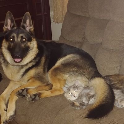 Profile Picture of Joy Fischer (@JoyFisc68698499) on Twitter