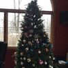 Profile Picture of alexdermer (@@ertha3753) on Tiktok