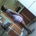 Profile Picture of Lucille Conrad (@lucille.conrad.7) on Facebook