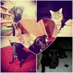 Profile Picture of Franziska Melcher (@lucy_maus_28_08) on Instagram