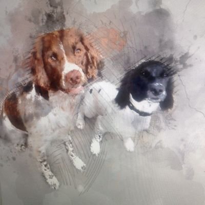 Profile Picture of Mark Mcgurk (@Markmc21Mark) on Twitter