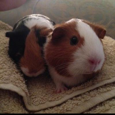 Profile Picture of Deborah Conroy (@DeborahConroy1) on Twitter