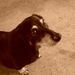 Profile Picture of Don N Brandy Singleton (@brandydon1) on Pinterest