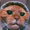 Profile Picture of Kevin (@@kevin_is_on_120fps) on Tiktok
