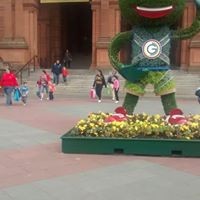 Profile Picture of Shona Campbell (@shona-campbell-6) on Quora