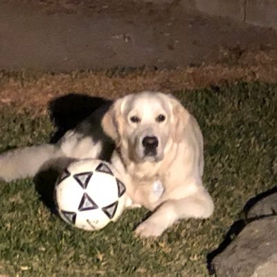 Profile Picture of Clark David (@ClarkGraichen) on Twitter